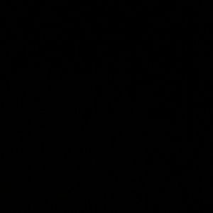 Meet your Posher, Ashanti